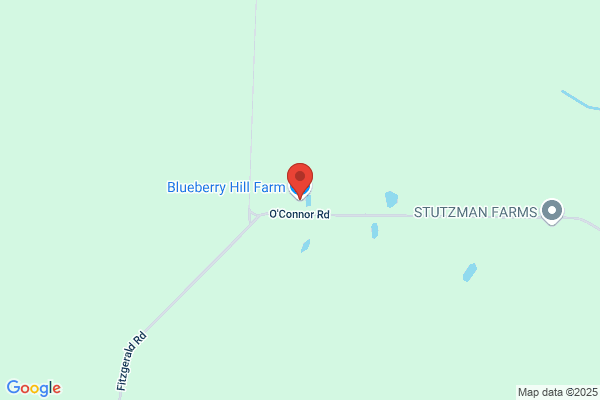 Blueberry Hill Farm