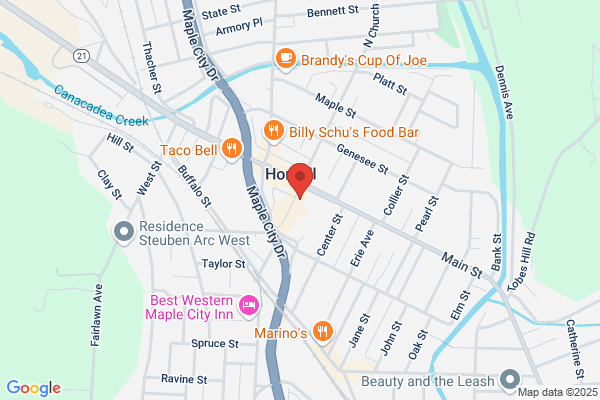 Salmon Orthodontics - Hornell