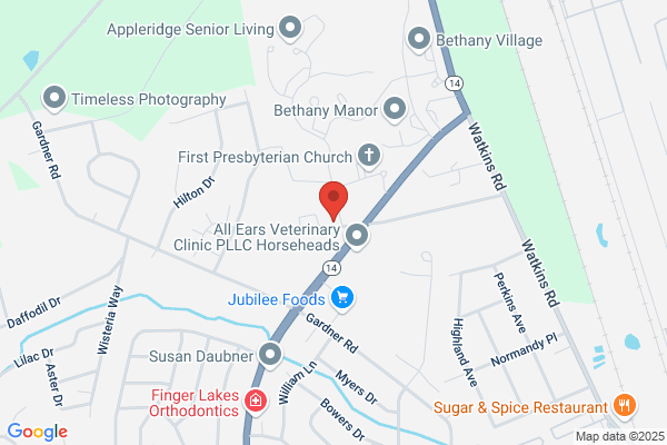 Chemung Dentures & Dental Center
