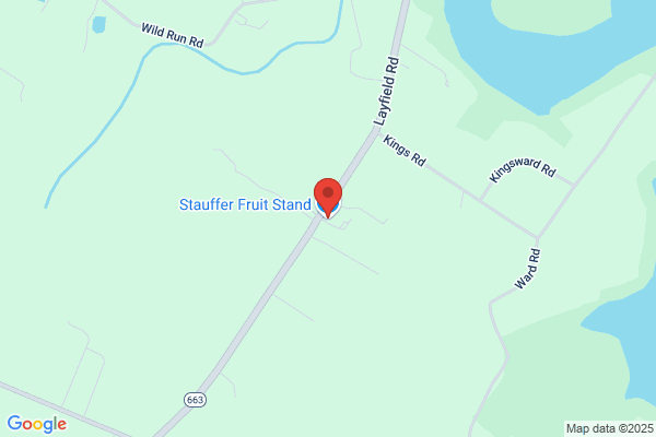 Stauffer's One Hour