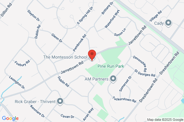 The Montessori School