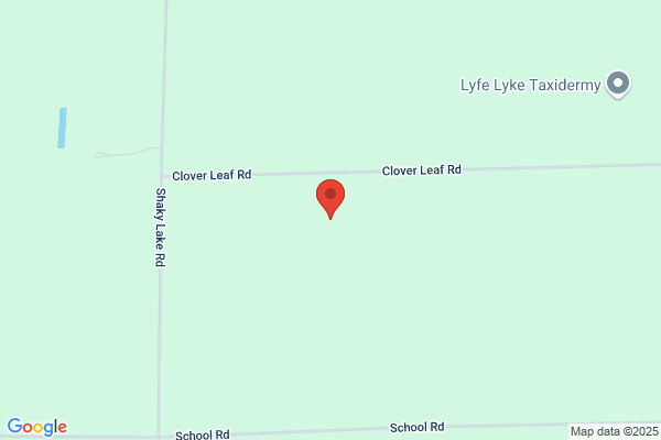 Discount Tree Services