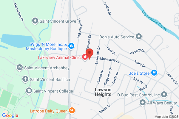 Lakeview Animal Clinic