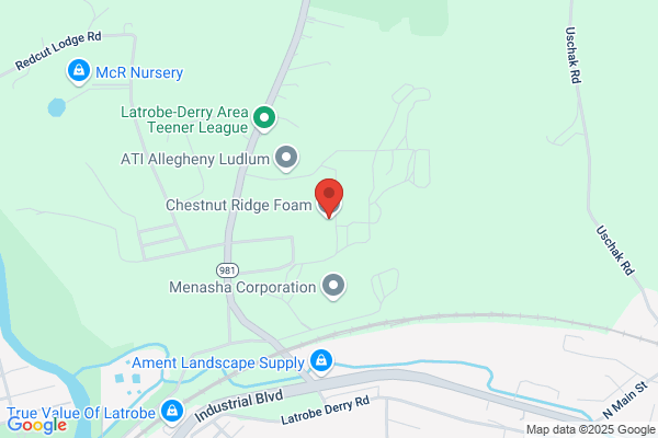 Chestnut Ridge Foam Inc