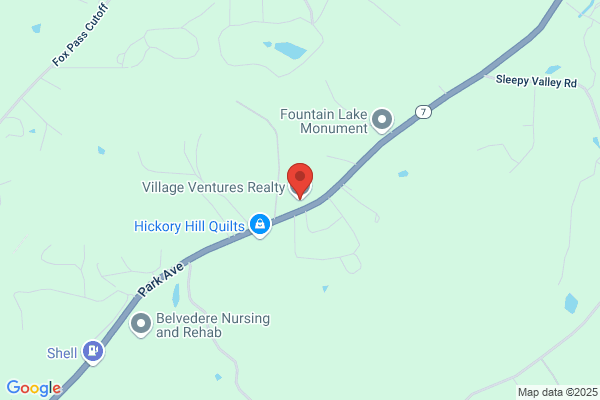 Village Venture Realty