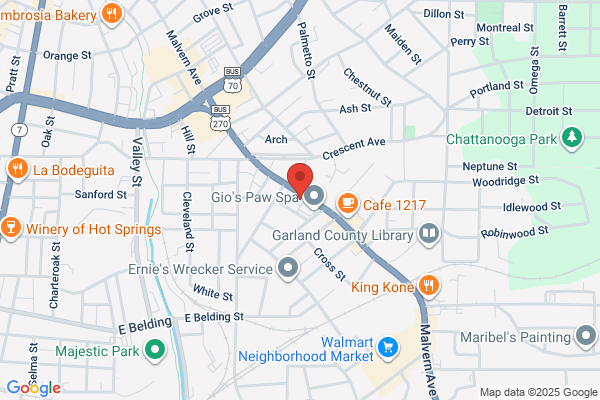 Daylight Donut Shop