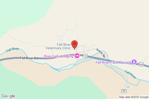 Fall River Veterinary Clinic
