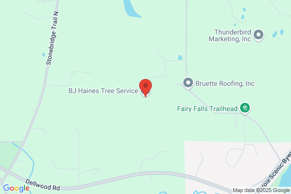 BJ Haines Tree Service