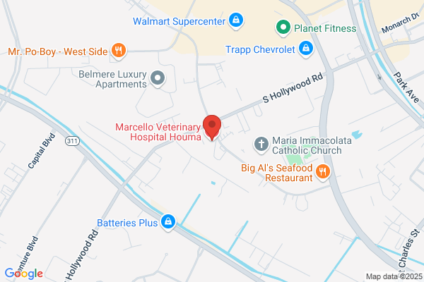 Marcello Veterinary Hospital Houma
