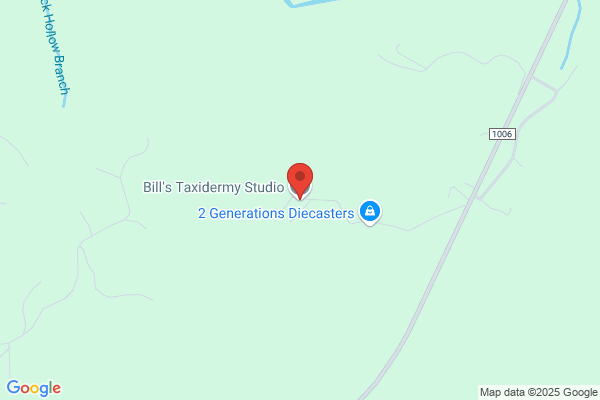Bill's Taxidermy Studio