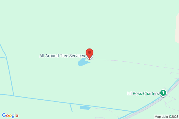 All Around Tree Services