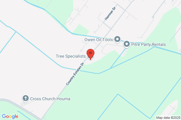 Tree Specialist