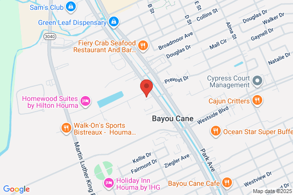 Bayou Motors Inc
