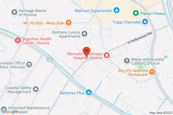 Hollywood Rv and Boat Storage Llc