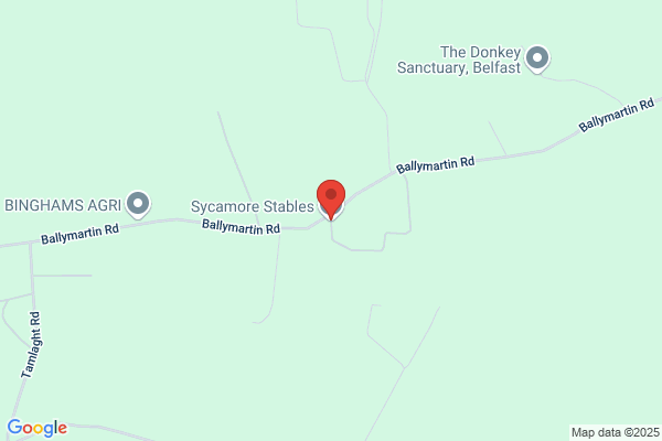 Jp's Sycamore Stables
