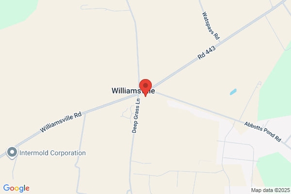Williamsville Country Store