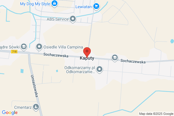 Kaputy Inc