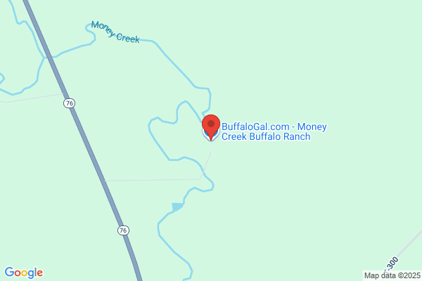 Money Creek Buffalo Ranch