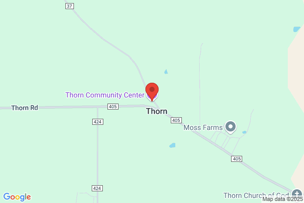 Thorn Grocery