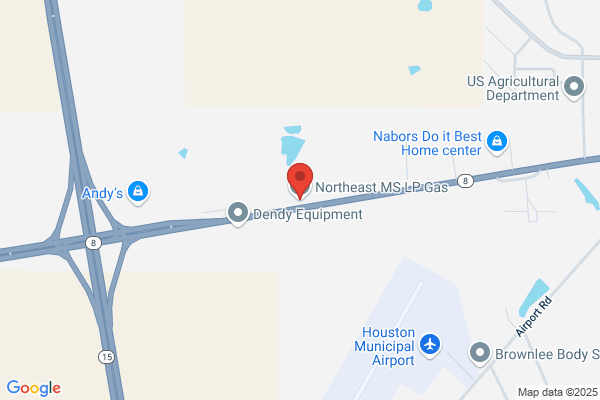 Northeast Miss Lp Gas Co Inc