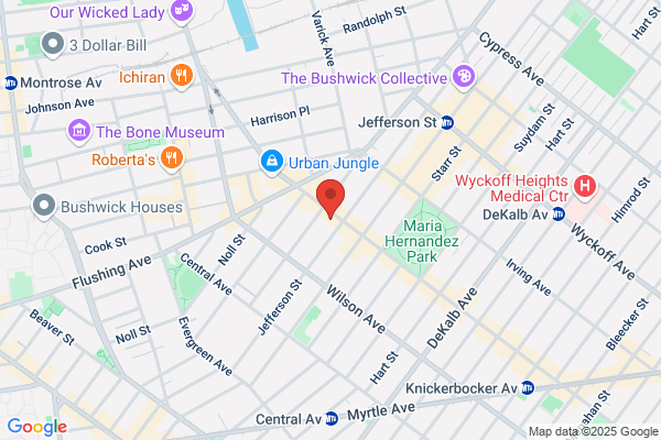 Bushwick Auto Repair