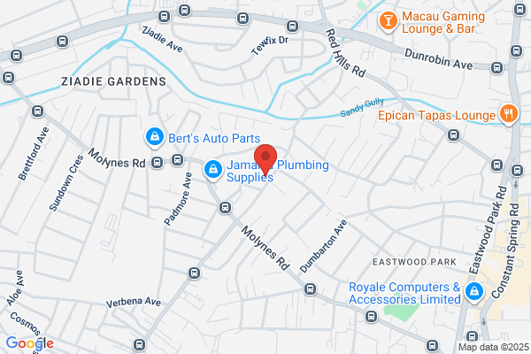 Jamaica Locksmith Store
