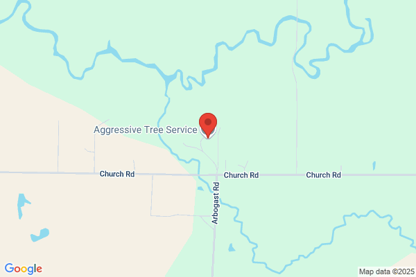 Aggressive Tree Service LLC