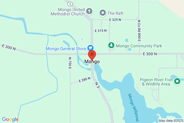 Mongo Tavern Inc