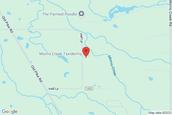 Mt Creek Taxidermy