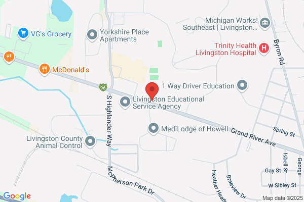 Michigan Bail Bonds