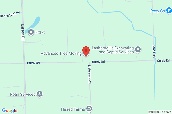 Advanced Arbor Tree