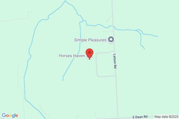 Horses Haven