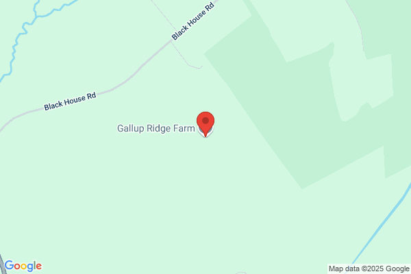 Fort Plains Horse Farm Inc