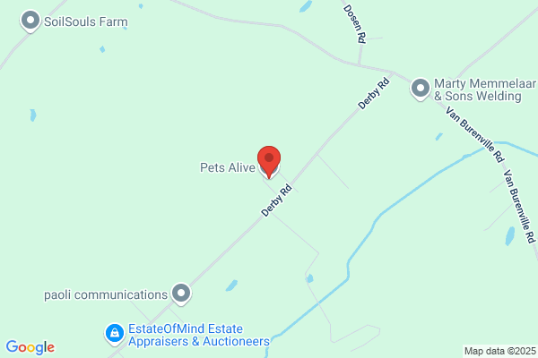 Pets Alive Inc