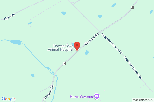 Howes Cave Animal Hospital