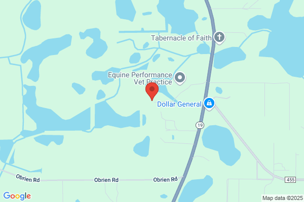 Rpm Services of Central Florida Inc