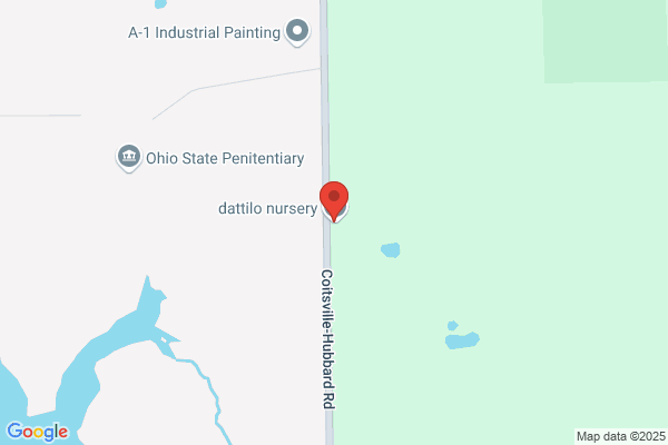 Dattilo & Son Landscaping Inc