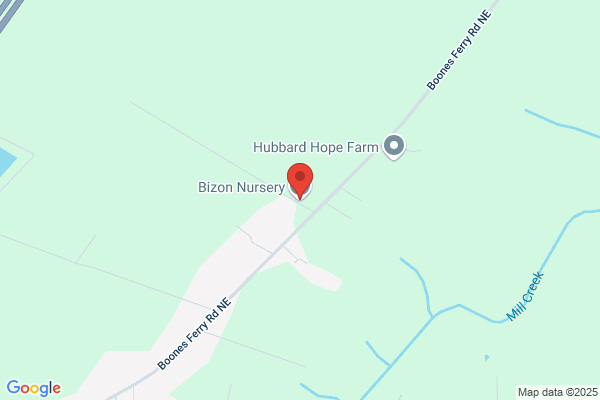 Bizon Nursery