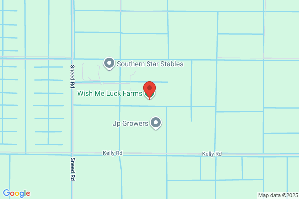 Wish-Me-Luck Stables