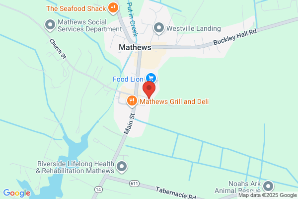 Friends of Mathews Memorial Library