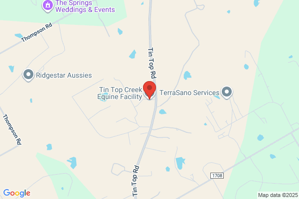 Tin Top Auto Service