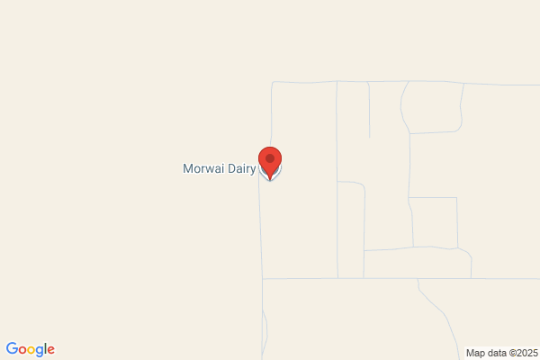 Morwai Dairy