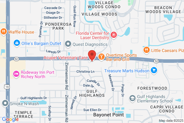 Acupet Veterinary Care