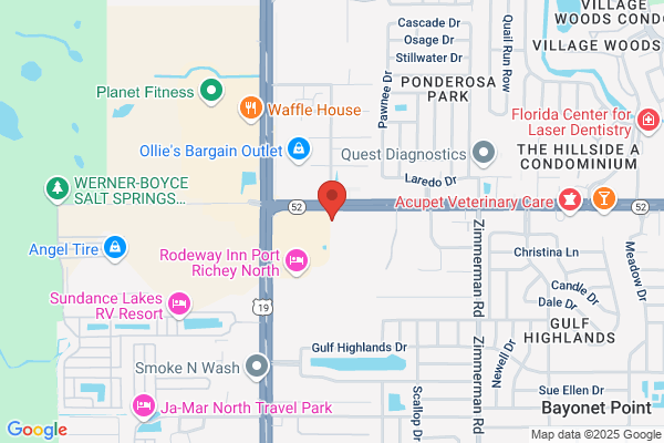 AutoZone Auto Parts