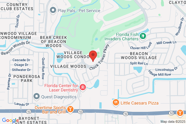 Senior Home Care Options