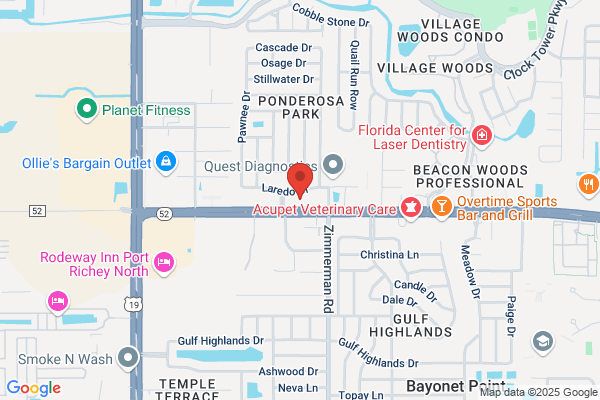 States Insurance Agency
