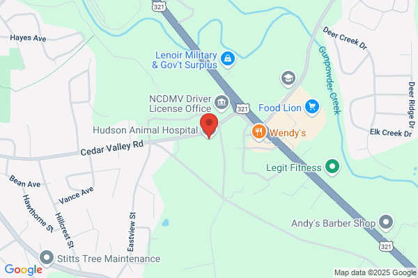 Hudson Animal Clinic