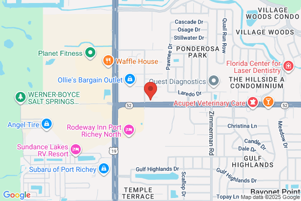 Re Max Sunset Realty