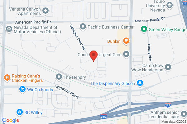 American Pool Supply & Service