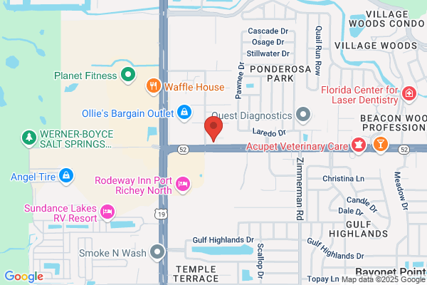 Marquis Realty